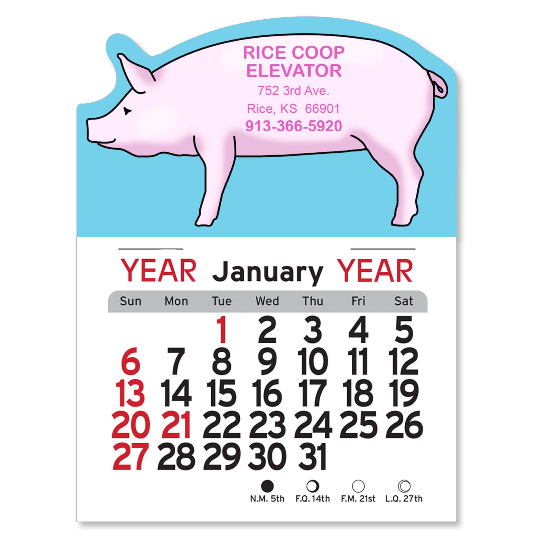 Adhesive Peel-N-Stick® Calendar - Pig                                